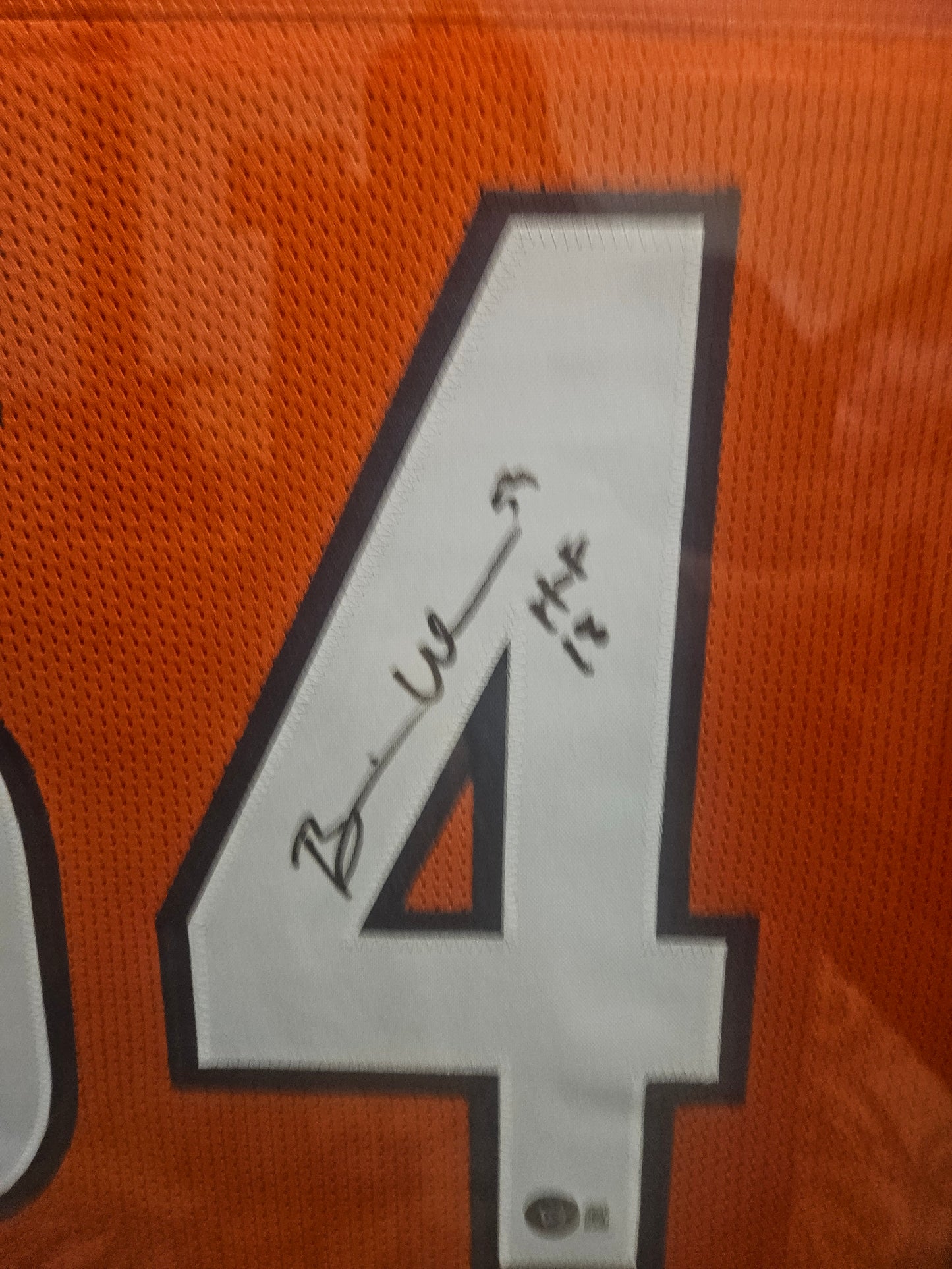 BRIAN URLACHER AUTOGRAPHED JERSEY